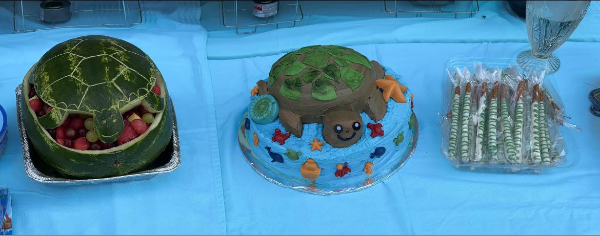 Turtle Themed Birthday Cake